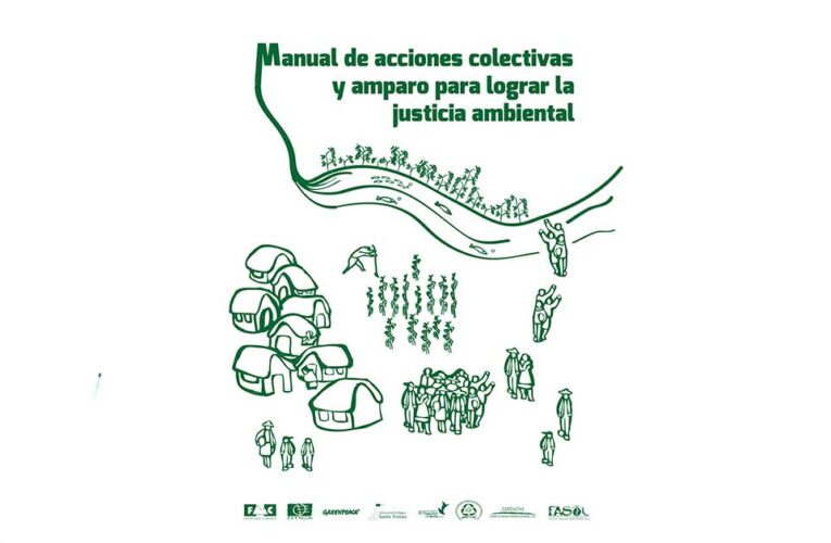 Manual de acciones colectivas