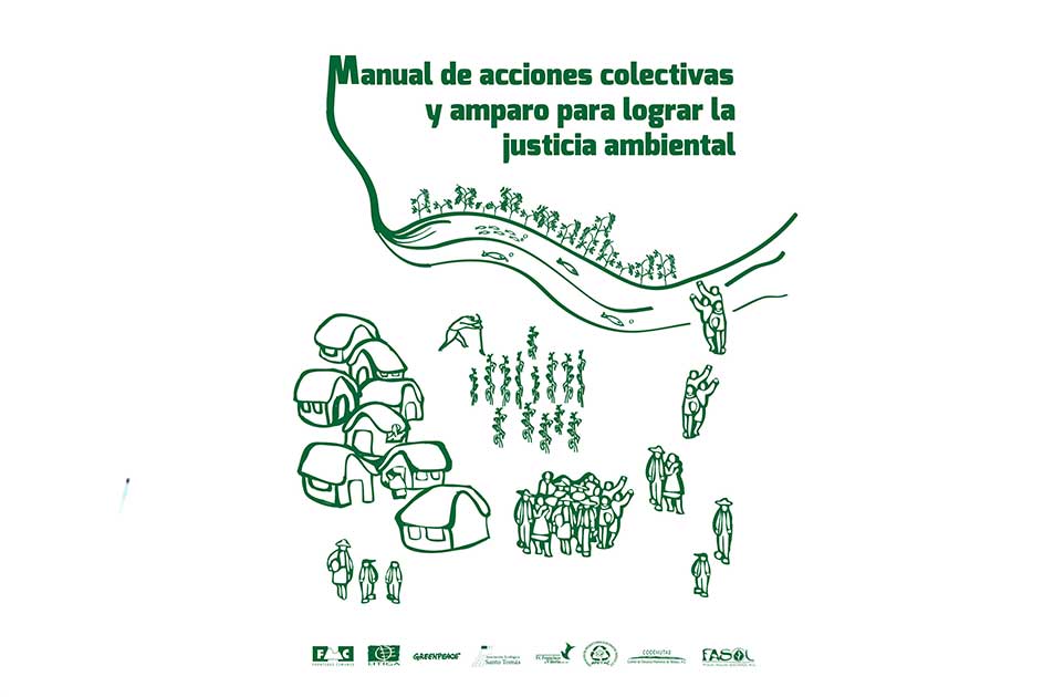 Manual de acciones colectivas