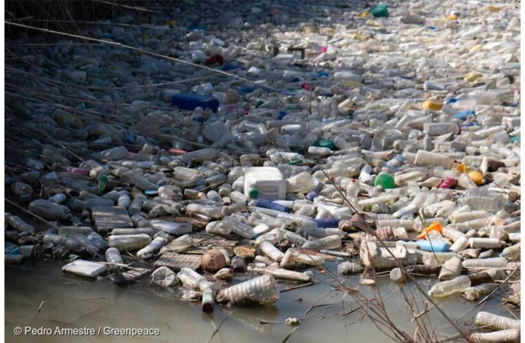 Organizaciones ambientalistas interponen un amparo para que el Congreso de la Unión prohíba los plásticos de un solo uso
